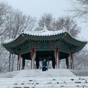 Meet your Posher, Tam